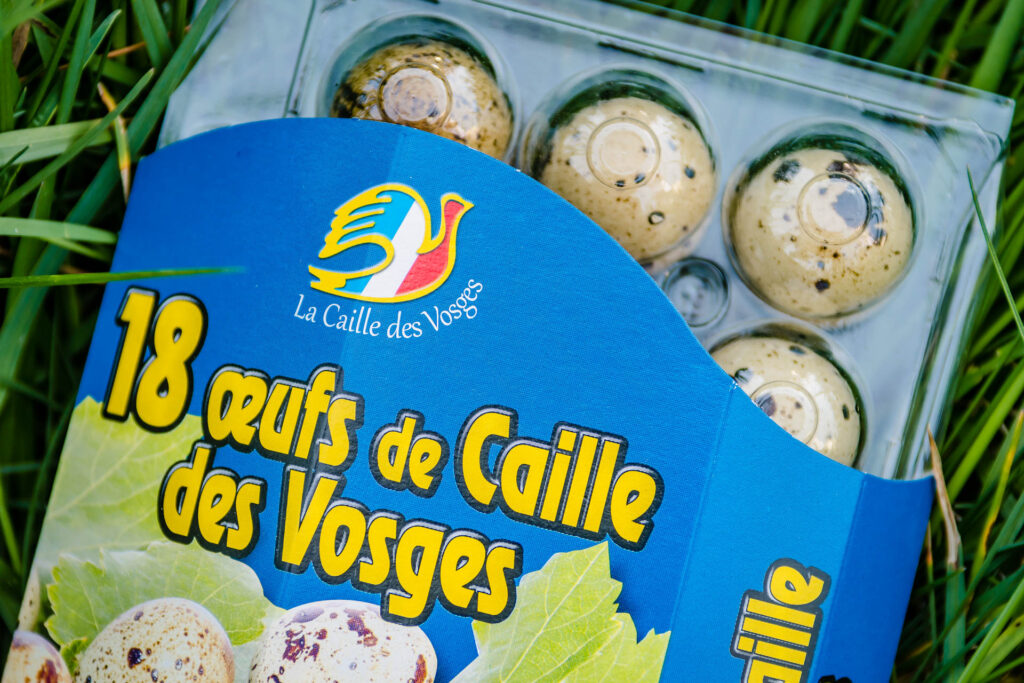 Vertus de l’œuf de caille Société La caille des Vosges