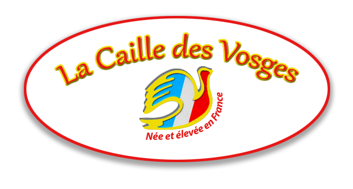Logo-CDV